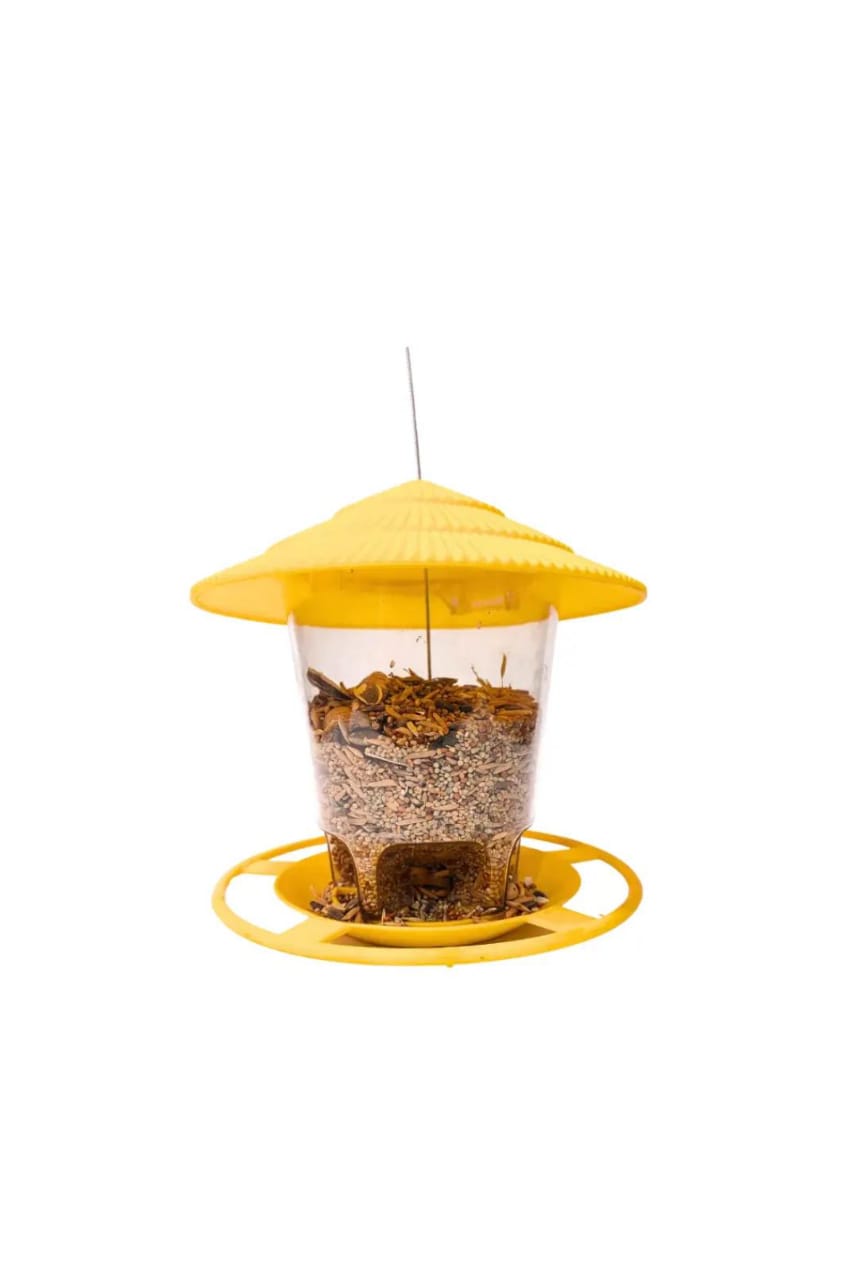 Bird Hanging Feeder (Your Sadqa e Jaaria )