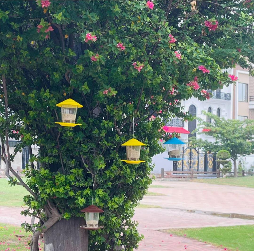 Bird Hanging Feeder (Your Sadqa e Jaaria )